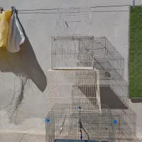 چهارعددقفس بزرگ کوچیکه متوسط