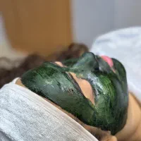 فشیال و پاکسازی|خدمات آرایشگری و زیبایی|اصفهان, باغ زرشک|دیوار