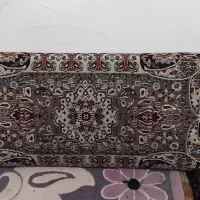 پشتی سالم بدون شکستگی در حدنو دوجفت
