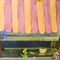 اکواریوم زیبا و سالم با وسایل