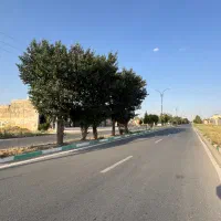 1000-متر-سند-تک-برگ-سهیلیه