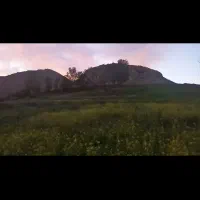 فروش-زمین-کشاورزی