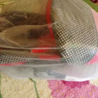 فروش کریر یا سبد نینی