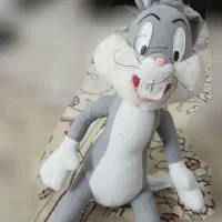 عروسک در حد نو|اسباب‌بازی بچه|بیرجند, |دیوار