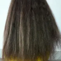 موطلایی پر پشت|آرایشی، بهداشتی، درمانی|ایلام, |دیوار