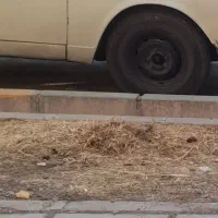 پیکان وانت مدل ۸۴