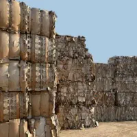 خریدار کارتن فروشگاهی