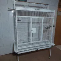 قفس کاسکو و طوطی مکائو