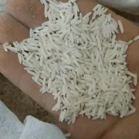 برنج تایلندی