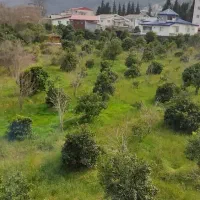 ویلا-دو-خوابه-جنگلی-نزدیک-دریا