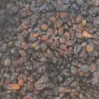 کشمش|خوردنی و آشامیدنی|میاندوآب, |دیوار