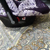 یک عدد کریر دلیجان روروئک واکر شو گهواره نو