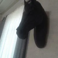 دیوار کوب کله اسب