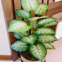 بوته ی مصنوعی وارداتی با ۱۸ برگ لمسی