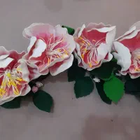 لوازم سالن|آرایشگاه و سالن‌های زیبایی|بندر دیر, |دیوار