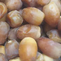 رطب گنتار روستایی دهداری خورموج