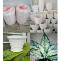 گل کلکسیون ۶۸