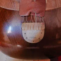 تار حرفه ای خوش صدا ساخت استاد ارام|سازهای سنتی|شیراز, دکتر حسابی|دیوار