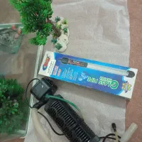 آکواریوم
