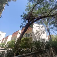 مرکز-خرید-31متری