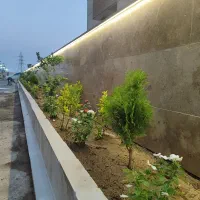 نظافت چی