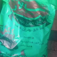زغال خودسوز سالار درمنطقه رودبار درشهرمنجیل|عمده‌فروشی|منجیل, |دیوار