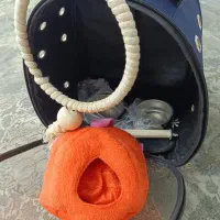 قفس پرنده|لوازم جانبی حیوانات|کرج, گلشهر|دیوار