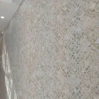 نصب کاغذدیواری، نصب کفپوش و قرنیز،نصب کابینت و کمد|خدمات پیشه و مهارت|دزفول, |دیوار