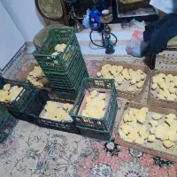 جوجه ماشینی