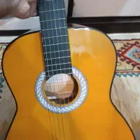 گیتار حرفه ای آلمانزا Almanza