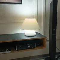 آباژور کاملا سالم