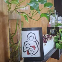 اجاره ماهانه و روزانه اطاق به پزشک و ماما