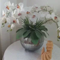 گلدان کاملا سالم