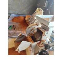 کارگاه آسیاب غلات وادیه جات