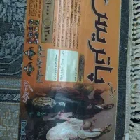 پاتریس|فرش|مشهد, حرم مطهر رضوی|دیوار