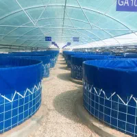 عایق‌های استخری