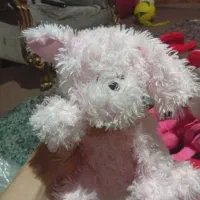 تعدادی عروسک با هم به قیمت 800تومان|اسباببازی بچه|رشت, یخسازی|دیوار