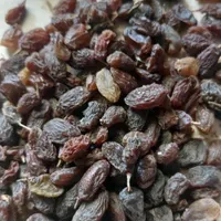 کشمش مویز|عمده‌فروشی|مرودشت, ژیان|دیوار