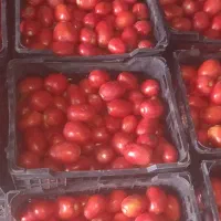 گوچه|خوردنی و آشامیدنی|شراء, |دیوار