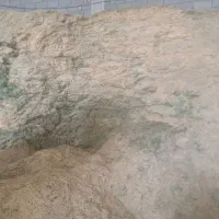 حدود هزار من کاه ینجه و کاه سفید درجه یک