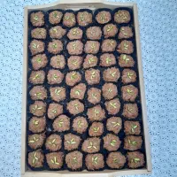 برای اولین بار شعریه خانگی