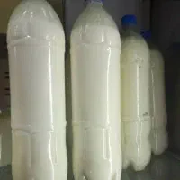 فروش دوغ محلی عمده