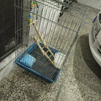 قفس پرنده به همراه متعلقات