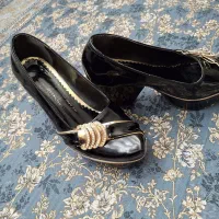 کیف و کفش ورنی|کیف، کفش، کمربند|شاهینشهر, گرگاب|دیوار