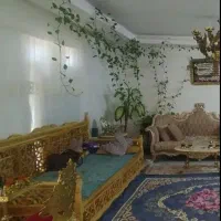 گل پیوس با شاخه های ۵و۶متری