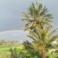 نیازمند یک نفر نیروی کارگر جوان