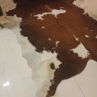 فرش پوست گاو چرم طبیعی|فرش|مشهد, وکیلآباد|دیوار