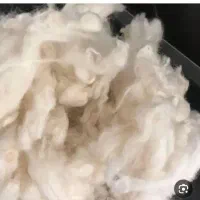 پشم گوسفندی