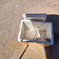 دستگاه جوجه کشی