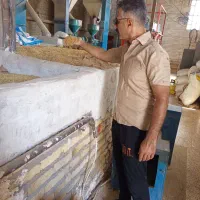 پخش انواع برنجهای ایرانی مستقیم از شالیزارهای شمال|خوردنی و آشامیدنی|فردیس, منظریه|دیوار